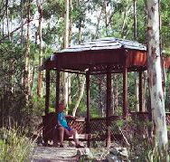 Telopea - Accommodation Mount Tamborine