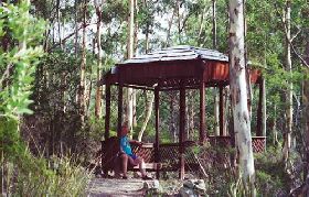 Telopea - Accommodation Mount Tamborine 0