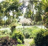 Cherry Park Estate - Accommodation Mount Tamborine