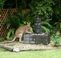 Bluewater Bed and Breakfast Cairns - Accommodation Mount Tamborine