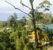 Partridge Farm - Accommodation Mount Tamborine