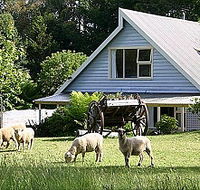 Hide-Away Cottage Retreat - Accommodation Mount Tamborine