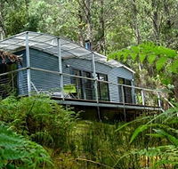 Huon Bush Retreats - Accommodation Mount Tamborine