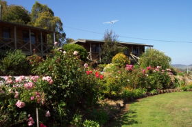 Mole Creek Holiday Village - Accommodation Mount Tamborine 0