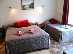 Telopea - Accommodation Mount Tamborine 1