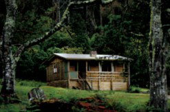 Mountain Valley Wilderness Holidays - Accommodation Mount Tamborine 1