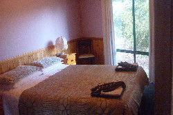 Seven Mile Cottages - Accommodation Mount Tamborine 2