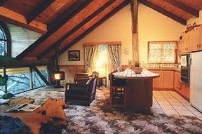 Marions Vineyard (Accommodation) - Accommodation Mount Tamborine 1