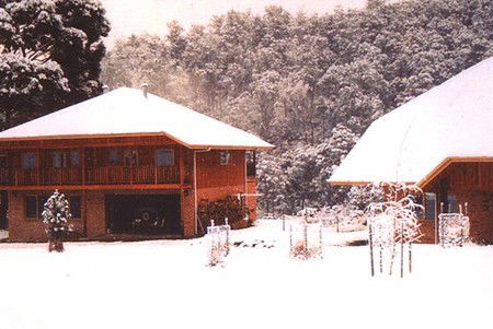 Stringy Bark Holiday Accommodation - Accommodation Mount Tamborine 1