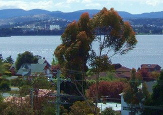 Undine Colonial Accommodation - Accommodation Mount Tamborine 1