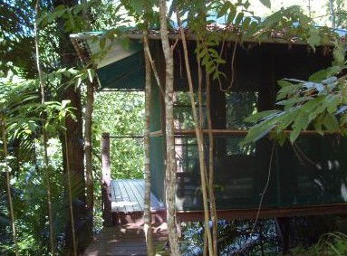 Sanctuary Retreat - Accommodation Mount Tamborine 0