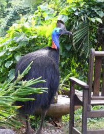 Sanctuary Retreat - Accommodation Mount Tamborine 2