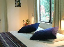 Daintree Valley Haven - Accommodation Mount Tamborine 1