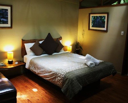 Daintree Wilderness Lodge - Accommodation Mount Tamborine 2