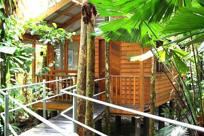 Daintree Wilderness Lodge - Accommodation Mount Tamborine 3