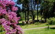 Figlea Cottages - thumb 0