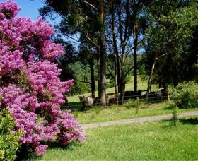 Figlea Cottages - Accommodation Mount Tamborine 0