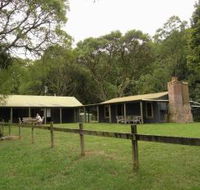 Tree Fern Lodge - Accommodation Mount Tamborine