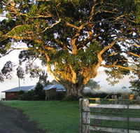 Arley Farm The Old Dairy - Accommodation Mount Tamborine
