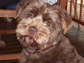 Lagoon Pocket Bed And Breakfast - Accommodation Mount Tamborine 0