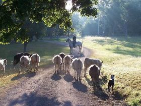 Imbil QLD Accommodation Mount Tamborine