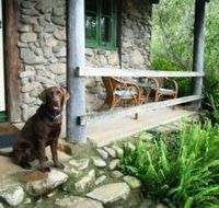 Giba Gunyah Country Cottages - Accommodation Mount Tamborine