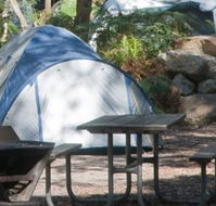 Booderee National Park - Accommodation Mount Tamborine