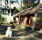 Bernadette Cottage - Accommodation Mount Tamborine
