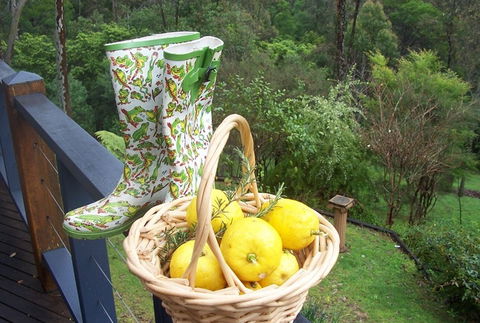 Bellbird Cottage Bed And Breakfast - Accommodation Mount Tamborine 4