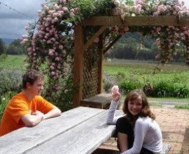 Back Forest Retreat - Accommodation Mount Tamborine 1