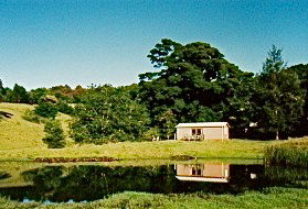Figlea Cottages - Accommodation Mount Tamborine 5