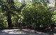 Booderee National Park: Green Patch Camping Area - thumb 0