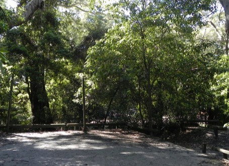 Booderee National Park: Green Patch Camping Area - Accommodation Mount Tamborine 0