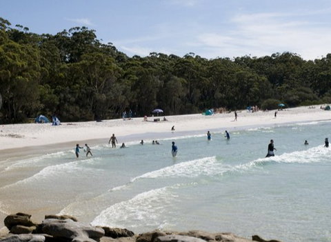 Booderee National Park: Green Patch Camping Area - Accommodation Mount Tamborine 2