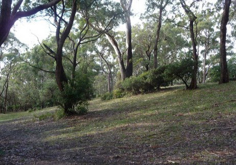 Booderee National Park: Green Patch Camping Area - Accommodation Mount Tamborine 3