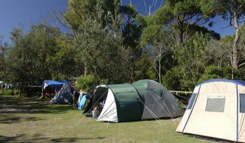 Booderee National Park: Cave Beach Camping Area - Accommodation Mount Tamborine 3