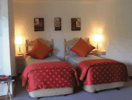 A View Of Mt Warning Bed And Breakfast - Accommodation Mount Tamborine 3