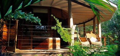Mt Warning Rainforest Retreat  - Accommodation Mount Tamborine 5