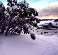 Kosciuszko Chalet Hotel - Accommodation Mount Tamborine