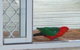 Azalea Cottage - thumb 5