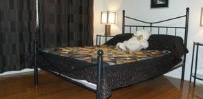 Artisans ...on The Hill Bed And Breakfast - Accommodation Mount Tamborine 2