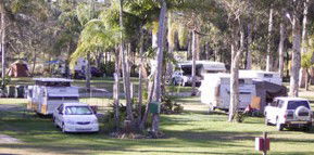 Brigadoon Holiday Park - Accommodation Mount Tamborine 2