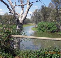 The Shanty Waterside Cottages - Accommodation Mount Tamborine