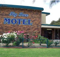 Fig Tree Motel - Accommodation Mount Tamborine