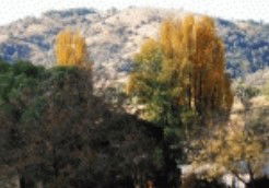 Oxley Vale NSW Accommodation Mount Tamborine