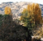 Birches Bed and Breakfast at Nundle - Accommodation Mount Tamborine