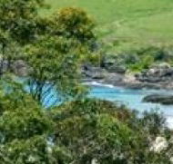 Aqua Bamboo - Accommodation Mount Tamborine