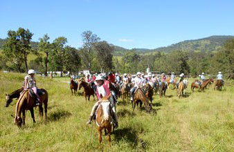 Camp Cobark - Accommodation Mount Tamborine 0