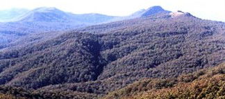 Carrowbrook NSW Accommodation Mount Tamborine