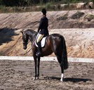Apptrak Stud - Accommodation Mount Tamborine